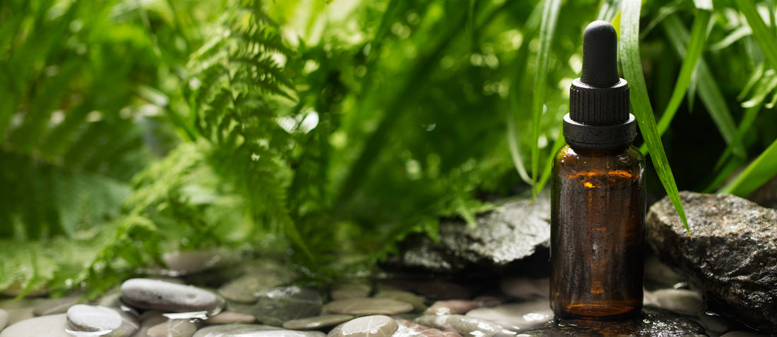 Ingredientes que sanan: el poder oculto de lo natural