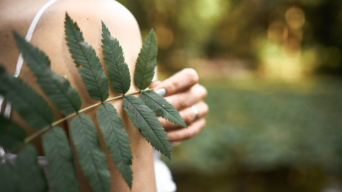 Natural no es sinónimo de complicado: El regreso a lo simple que tu cuerpo agradece